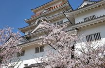 Hiroshima Luxurious Private Tour with English Guide