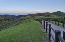 Small-Group: Beitou and Yangmingshan Day Tour from Taipei