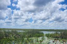 Everglades Eco Tour: Airboat, Wildlife & up 2 Private Islands
