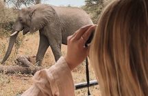 3-Day Manyara, Tarangire and Ngorongoro Crater
