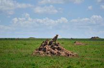 3-Day Manyara, Tarangire and Ngorongoro Crater