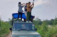 2 Nights 3 Days Chitwan National Park Package with Jeep Safari