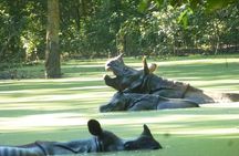 2 Nights 3 Days Chitwan National Park Package with Jeep Safari