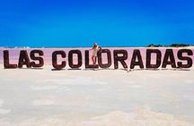 Las Coloradas Tour to Pink Lakes and Wildlife Wonders