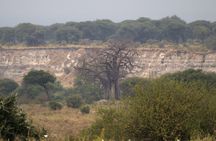 Experience and Visit Tarangire National Park
