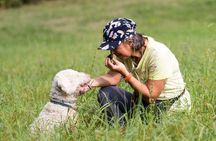 Truffle Hunting and Lunch in Piedmont Trattoria