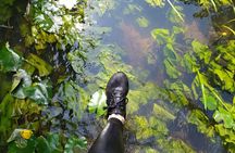 Vilnele River Walking Tour and Uzupis Experience