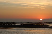 Sunset among flamingos in the Ebro Delta