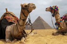 VIP Pyramids tour, Camel Ride, Museum, and Khan +local meal