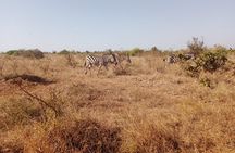 Kruger Park Safari from Maputo 