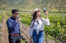 Moment Tour Tasting Icon