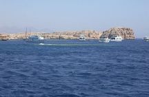 Ras Mohamed and White Island Snorkeling & Diving-Sharm El Sheikh
