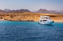 Ras Mohamed and White Island Snorkeling & Diving-Sharm El Sheikh
