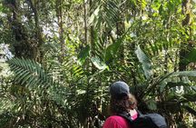 Private Hike through the Waterfalls of the Mindo Cloud Forest