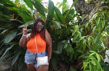 Coffee & Tea Experience + Photoshoot in Bohemian El Cangrejo