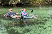Clear Kayak Spring & Wildlife Tour Crystal River with Free Photos