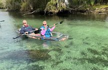 Clear Kayak Spring & Wildlife Tour Crystal River with Free Photos