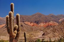 The Calchaqui Valley Winery and Scenery Tour in Cafayate