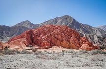 The Calchaqui Valley Winery and Scenery Tour in Cafayate