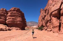 The Calchaqui Valley Winery and Scenery Tour in Cafayate
