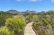 Elfin Forest Nature Tour with Local Sweet and Savory Tasting