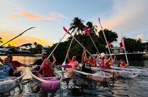 Guided Night Kayak Adventure Tour in Luminous Lagoon