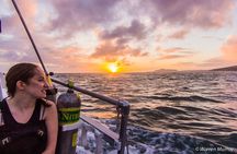 Night Dive Adventure in Oahu
