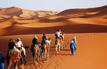 3 days and 2 nights Tour from Marrakesh to Fez