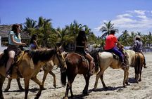 City Tour & Beach Day All Inclusive W Horse Ride & Water Sports 