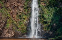 Wli Waterfall and Tafi Atome Monkey Sanctuary (Day Visit)