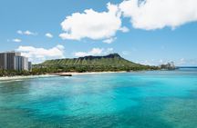 Turtle Canyon Snorkel Tour - Semi-private: 6 passenger max
