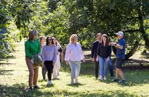 Katikati Gourmet Avocado Tasting