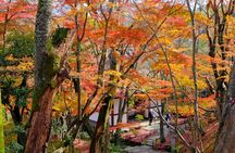 Kyoto Arashiyama: Fall Foliage Walking Tour【Autumn's limited】