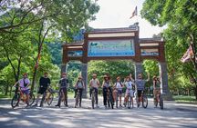 Multi Day Tour in Ninh Binh and Halong from Hanoi 