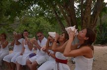 Temazcal Mayan Ritual Tour and Cenote Swim with Yucatecan Dinner