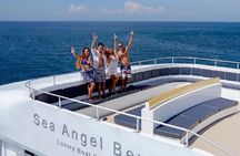 Tropical Treasures of Phi Phi Island by Cruise