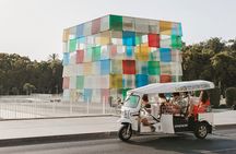 Expert Tour of Malaga in Private Eco Tuk Tuk