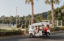 Welcome Tour to Malaga in Private Eco Tuk Tuk