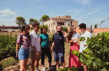 Premium Montserrat & Wine Full Day Tour from Barcelona
