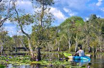Rayong Adventure Full day Trip from Pattaya