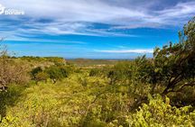 4-Hour Guided Island Tour in Bonaire for Singles and Doubles