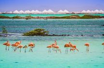 4-Hour Guided Island Tour in Bonaire for Singles and Doubles