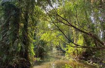 Explore Wetlands and Nature Reserve from Can Tho