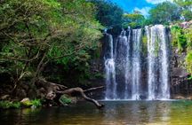 Rainforest and Waterfall Tour with Chocolate and Coffee 