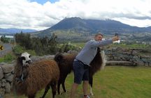 Otavalo Market & Cuicocha from Quito: Discover the Culture
