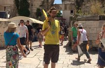 Chill Private Walking Tour of Diocletian's Palace