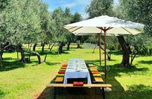 Olive Oil Tour with tasting Wine & Traditional Food 