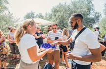 Olive Oil Tour with tasting Wine & Traditional Food 