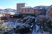 Alhambra private tour with tickets