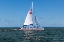 Dolphin Watch & Harbor Tour in Historical St. Augustine